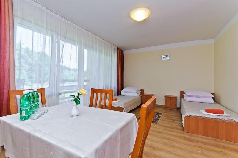 Ow Andrzejowka Nad Popradem Hotel Muszyna Ngoại thất bức ảnh
